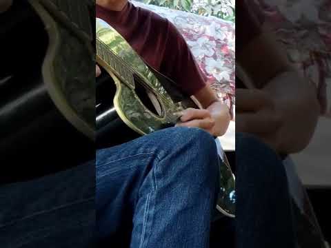 el pez se los comió - Angel lucero- alto nivel