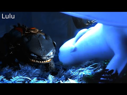 What would happen if Toothless protected Hiccup? HTTYD - HAYLOFT