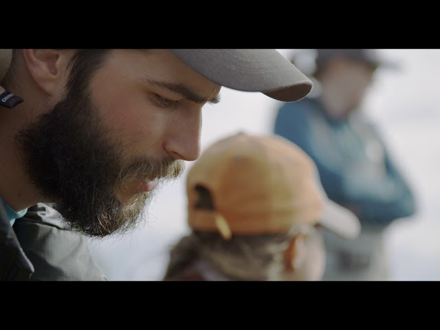 Video about the CEC