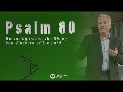 Psalm 80 - Restoring Israel, the Sheep and Vineyard of the LORD