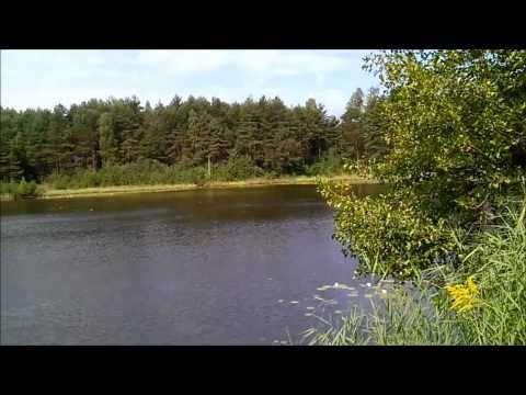 LCOI Region Świętokrzyskie AGROTURYSTYKA JEŻYNÓW