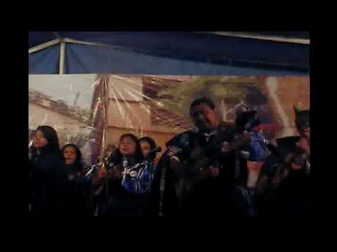 Estudiantina Venusshale - Las Palmeras