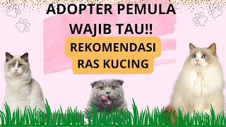 Download lagu ADOPTER PEMULA WAJIB TAU !! Rekomendasi Jenis Kucing dan Karakternya mp3