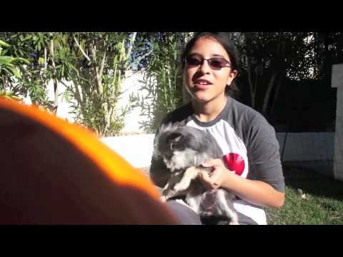 Winder Chocolate Milk.m4v