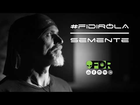 Fidirola - Semente