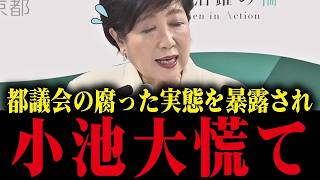 【衝撃】さとうさおりが都議会の茶番を暴露！移行表のカラクリに小池都知事も大慌て、都民の声1万7000件も無視の衝撃実態