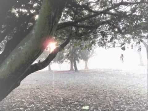 Tomoki Tamura, Nobuo Ittetsu - Park In The Morning(Original mix)