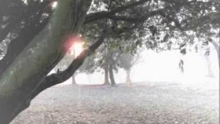 Tomoki Tamura, Nobuo Ittetsu - Park In The Morning(Original mix)