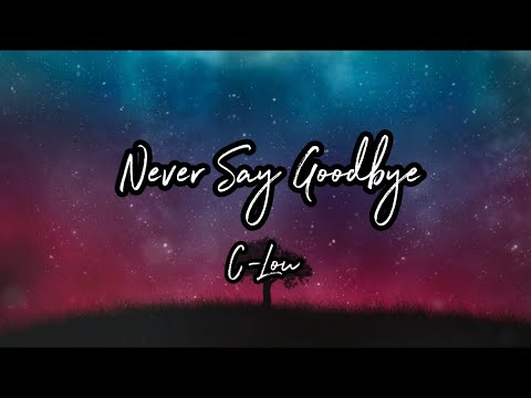 Never Say Goodbye(Official Lyric Video)