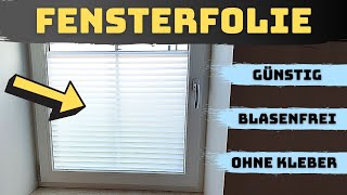 Fensterfolie anbringen - Perfekter Sichtschutz für dein Fenster (Blasenfrei & Günstig)