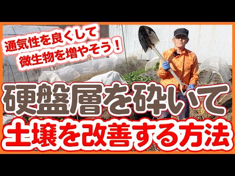 春に作物を植える前に土壌を耕す