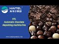 Dive Into The World Of Chocolate Bliss With Our Automatic ChocolateDepositingMachine Line