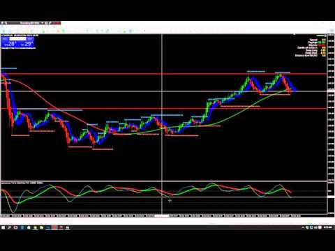 Forex for noobs review