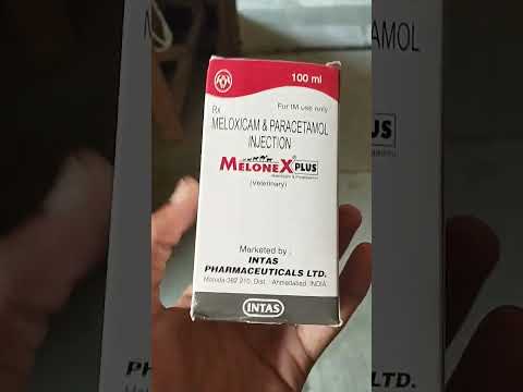 Meloxicam Paracetamol Injection, 100 ml