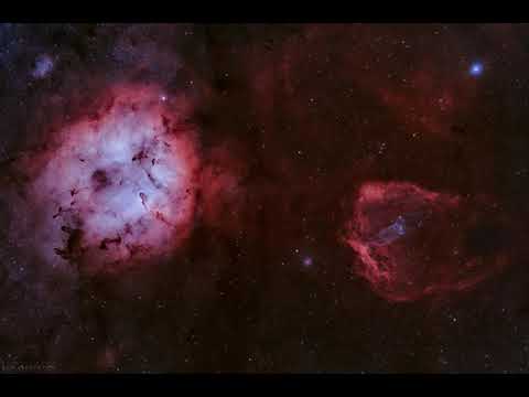 [ASTRO] Elephant, Bat, and Squid - July 23, 2021