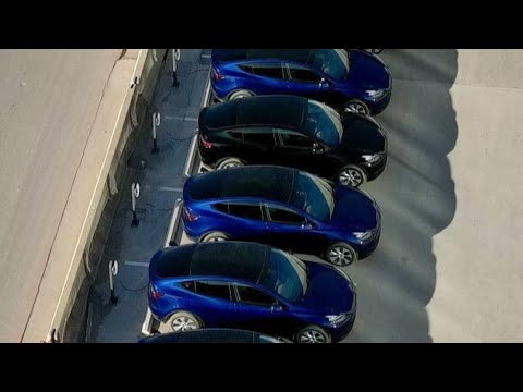 The Tesla Life #258 - Giga Texas ModelY SR