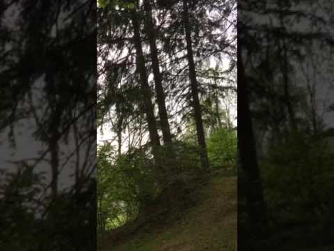 Meditation in Alps with Inseeya