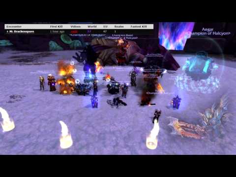 Halcyon vs Mythic Brackenspore - Nerd Screams