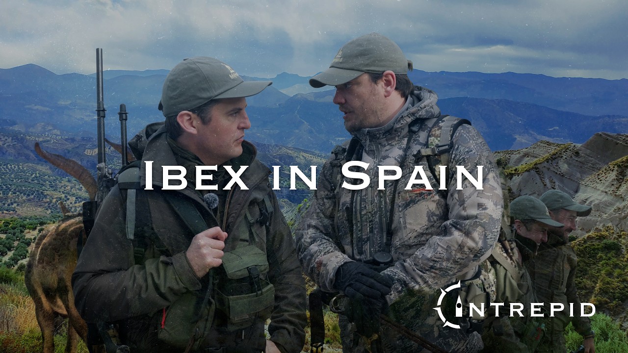 The Intrepid: Sierra-Nevada-Steinbock in Spanien