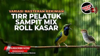 Download lagu 🔴 Live Masteran Prenjak Tir Panjang Isian Pelatuk Sampit vs Cucak Cungkok Super Gacor Roll Speed mp3