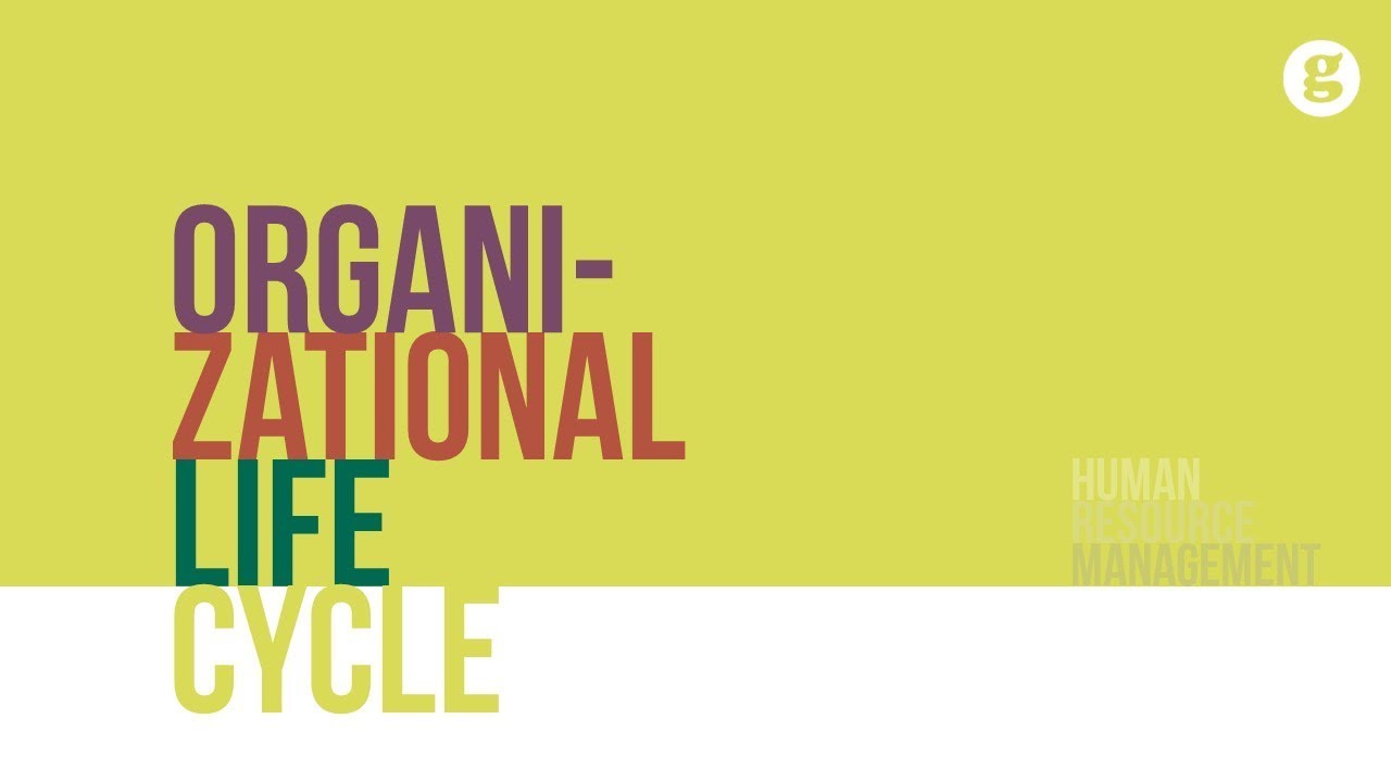 Organizational Life Cycle