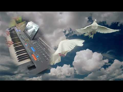 'La Paloma' - played by Hans van Dijken on the Yamaha Tyros 4