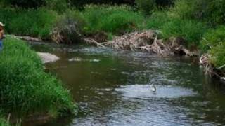 preview picture of video 'Conant Creek Fly Fishing Real Estate Ashton Idaho Vol. 1'