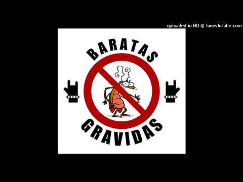 Niccole - Baratas Grávidas