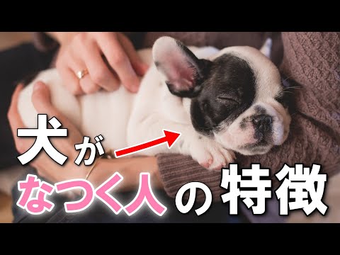 犬とその特徴