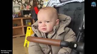 FUNNY Videos That Will Make You Laugh