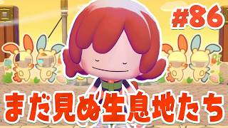 作ったことのない生息地を作っていこう～！ part86【ぽこあポケモン】