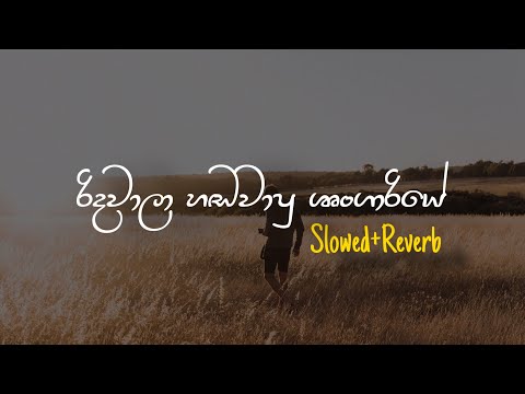 Shrungari - ශෘංගාරී (Slowed+Reverb)