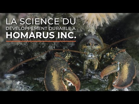 Homarus Inc. – La science du développement durable