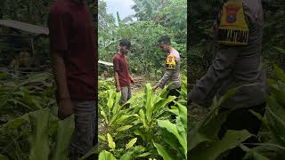 Download lagu Polres Pacitan Polda Jatim mendukung ketahanan pangan mp3