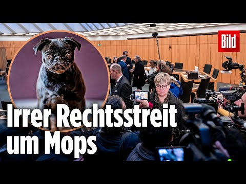 Stadt verkauft Frau kranken Mops | Streit vor Gericht!