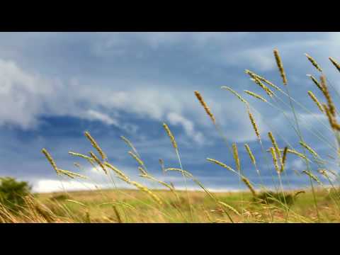 George Acosta ft  Aruna - Fallin' Backwards (Duderstadt Remix) [HD]