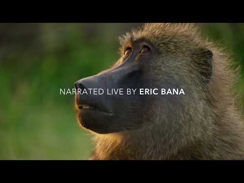 BBC Planet Earth II - Live in Concert