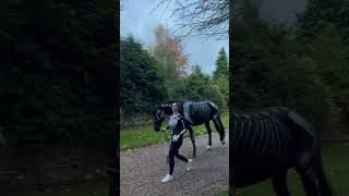 Skeleton horse!