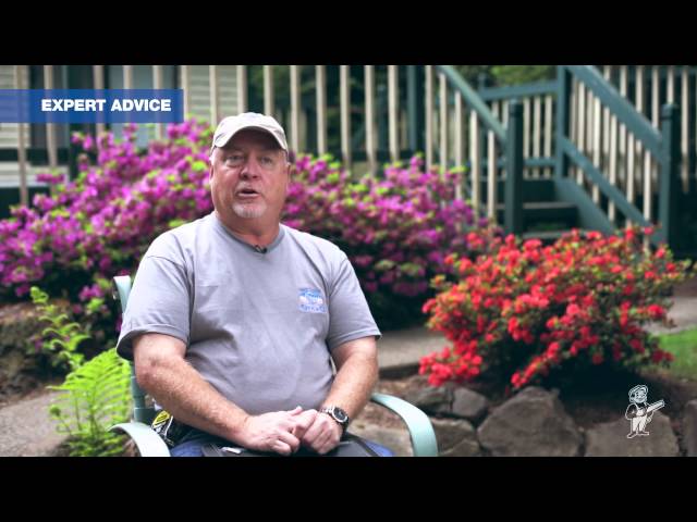 How to Plan for a New Deck: Seek Out Local Advice