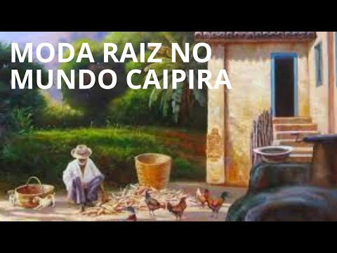 MODA RAIZ NO MUNDO CAIPIRA - O SOM DO HOMEM DO CAMPO PARA VIAJAR PRA ROÇA
