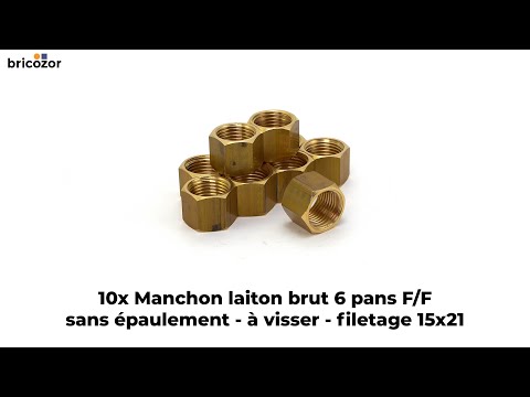 10 X Manchon laiton brut 6 pans F/F sans épaulement à visser BRICOZOR