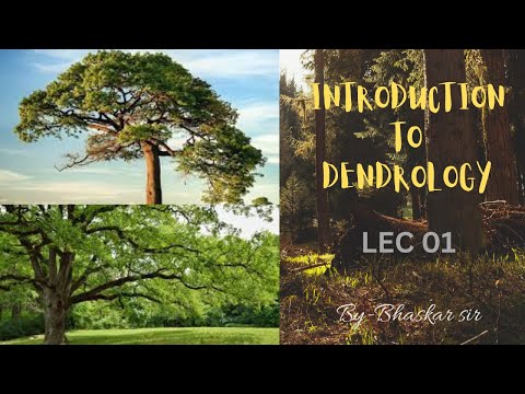 Introduction to Dendrology Lec 01 || Forestry 1st sem