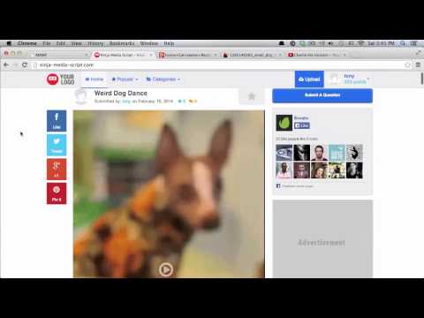 Ninja Media Script - Getting Started Videos - Video 02 - Media