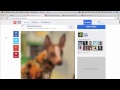 Ninja Media Script Getting Started Videos Video 02 Media