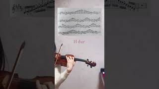 Download lagu 【ロ長調の音階】Carl Flesch :Scale B major #violin #music mp3 Download lagu 【ロ長調の音階】Carl Flesch :Scale B major #violin #music mp3