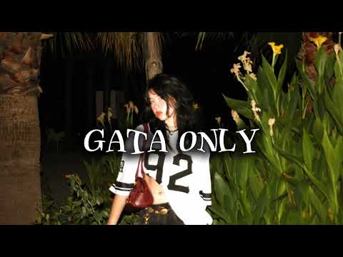 Cris Mj, Floyymenor - gata only remix (perfectly) 