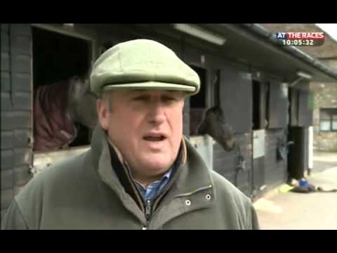 Zarkandar in good form for Champion Hurdle 2013
