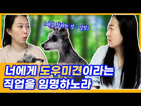 「보조견 [補助犬]」의 한국수어 표현