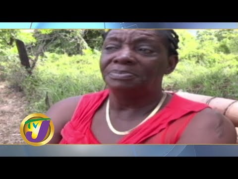 TVJ News Today: Mother Moans Son Death - July 7 2019