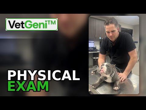 Physical Exam - VetGeni Tutorial